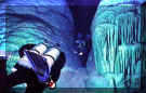 pic7